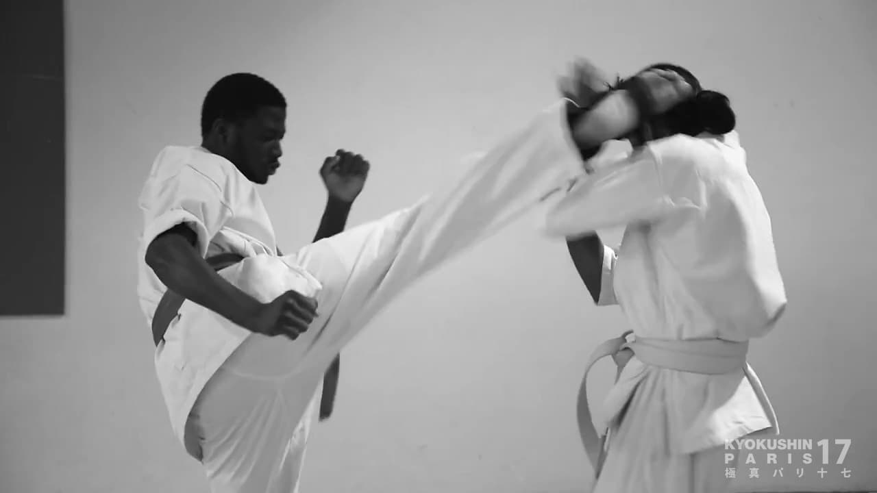 Kyokushin Paris 17 - karate in Paris