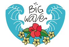 Big Wave Surf School - kitesurf in El Palmar de Vejer