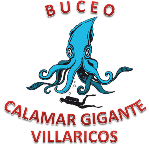 ACTIVIDADES SUBACUÁTICAS CALAMAR GIGANTE - kitesurf in Villaricos