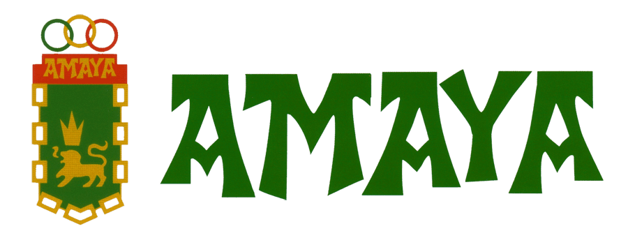 Ciudad Deportiva AMAYA Kirol Hiria - tenis in Pamplona