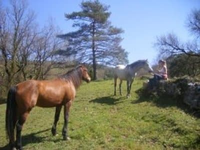 Club Hípico Okendo - fútbol in Oquendo