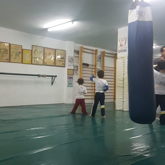 Gimnasio Han Kuk - judo in Telde