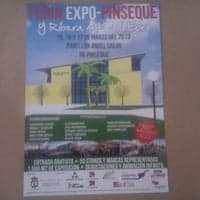 Pabellón Multiusos Ángel Calvo, Pinseque - baloncesto in Pinseque