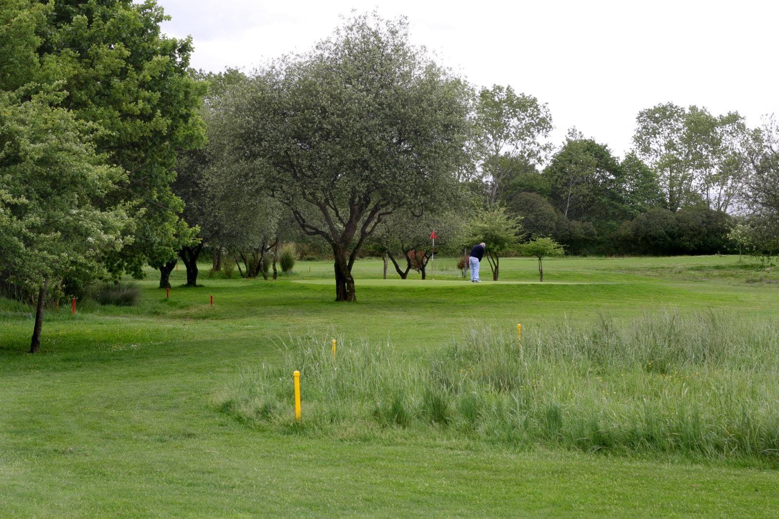 La Morgal Golf - golf in Llanera