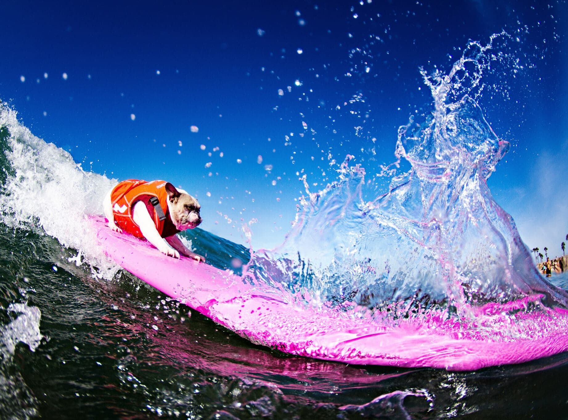 Fun Surf LA - surf in Santa Monica