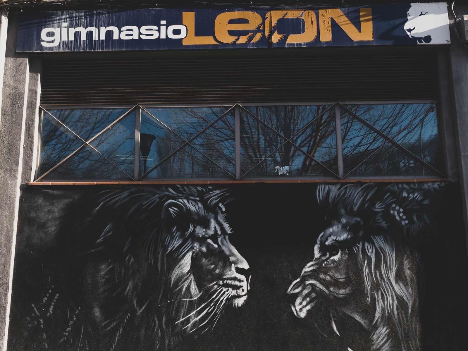 Gimnasio León - Tu Gimnasio en Pamplona - judo in Pamplona