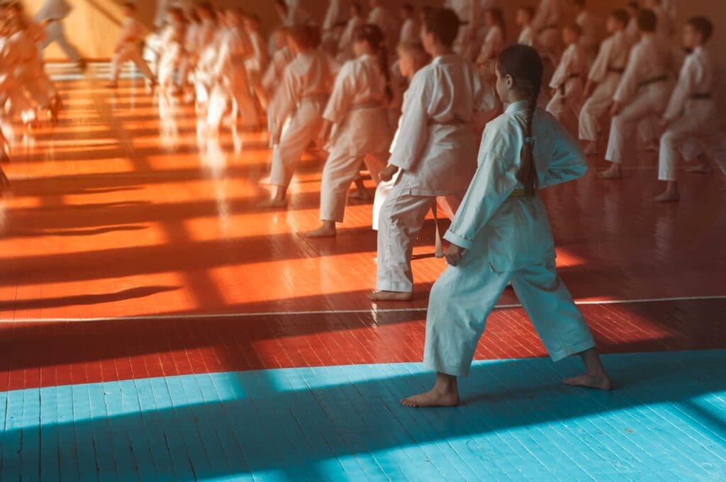 Gyakukan Escuela de Karate - karate in Santander