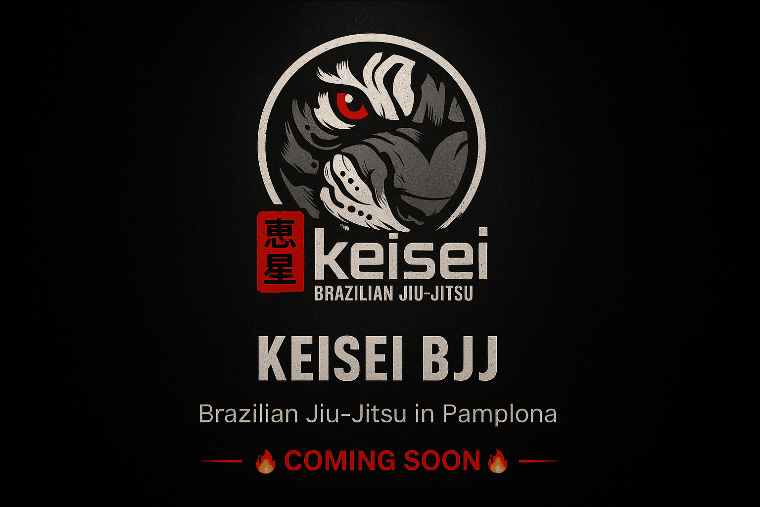 Keisei BJJ Pamplona - karate in Pamplona