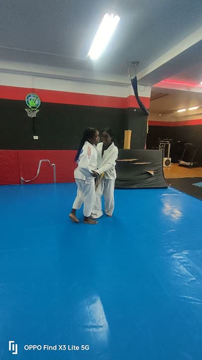 Box Hardifit Kirol Cluba - judo in Bilbao