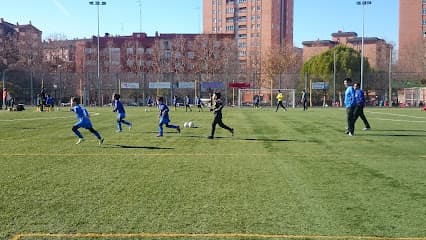 Sports Complex "Campos Góticos" - baloncesto in Palencia