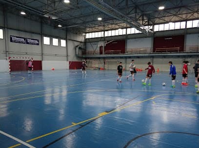 Sakoneta kiroldegia - judo in Leioa