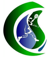 VIP Padel Malagón - padel in Malagón