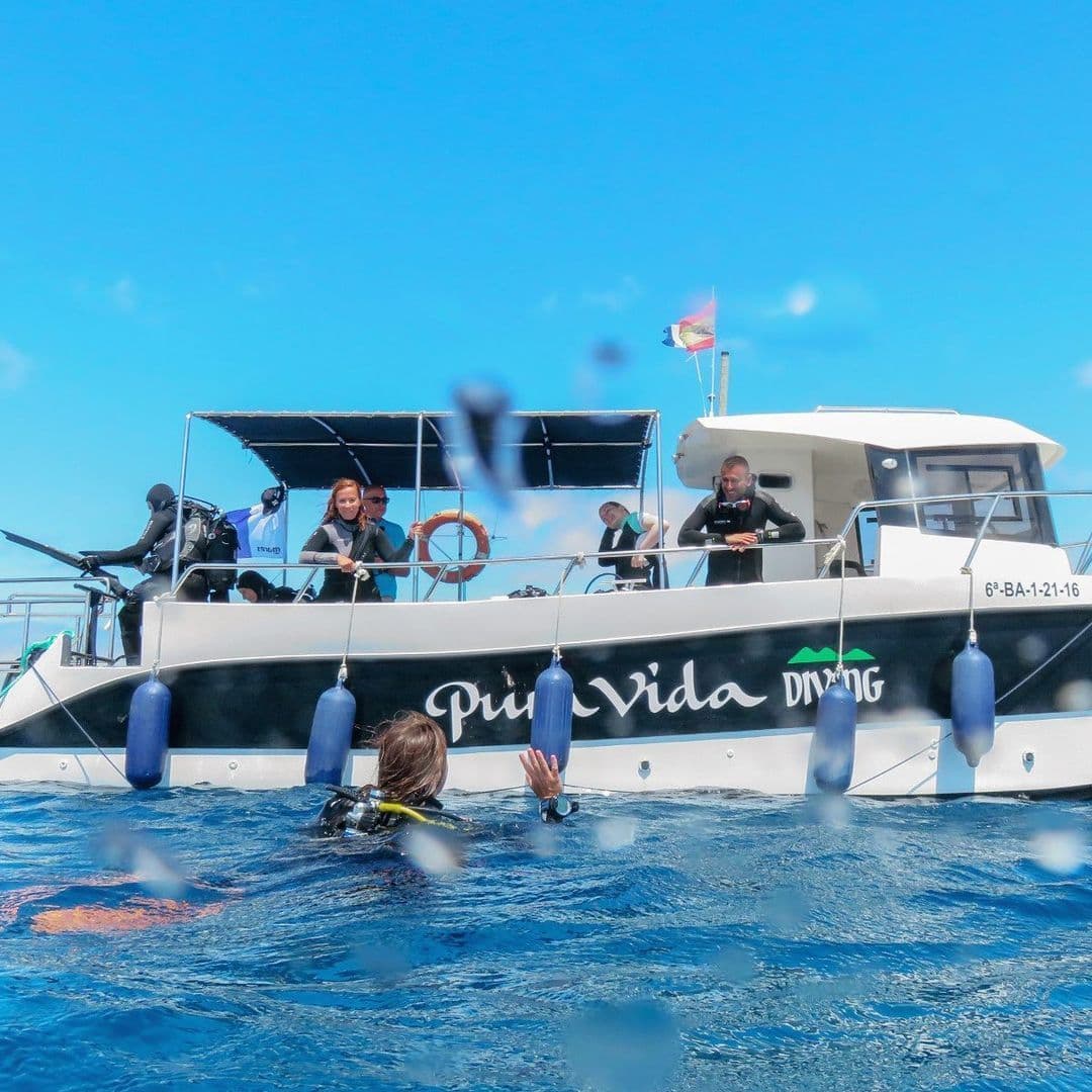 Pura Vida Diving Lanzarote - natacion in Playa Blanca