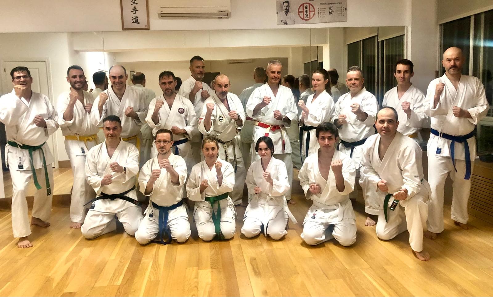 Escuela Karate Dojo Ryu Kyu - karate in Madrid