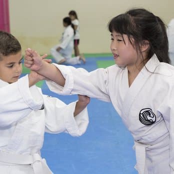 TSUNAMI AIKIDO DOJO - karate in València