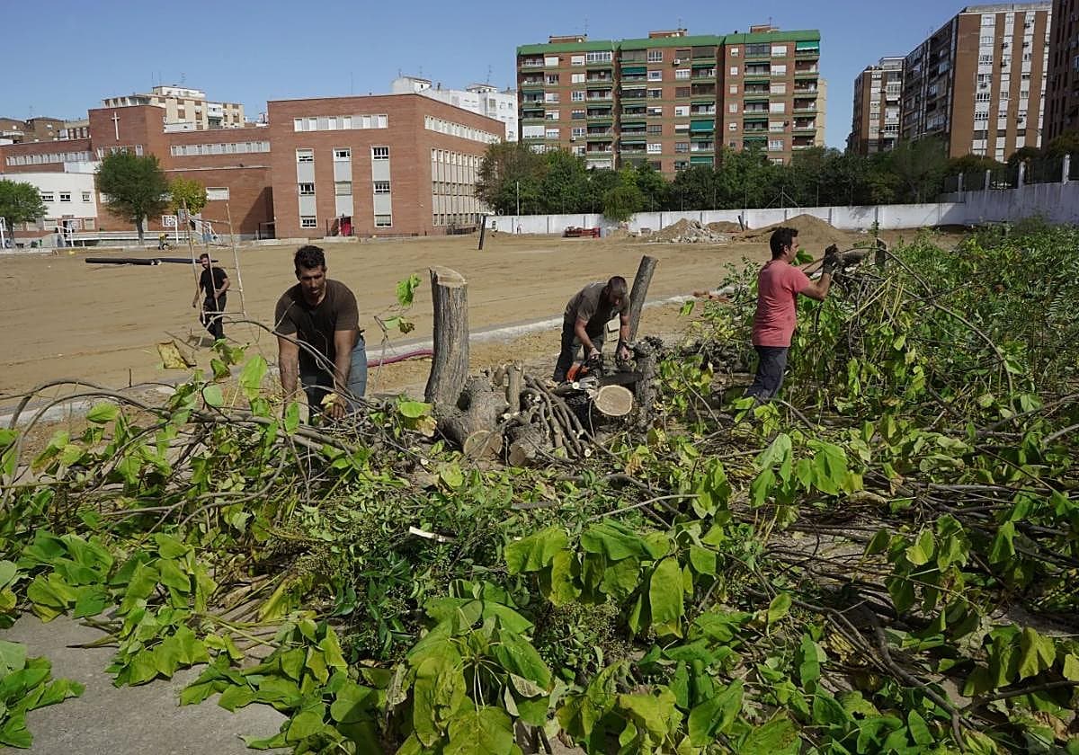 Campo de Futbol Colegio Maristas - fútbol in Badajoz