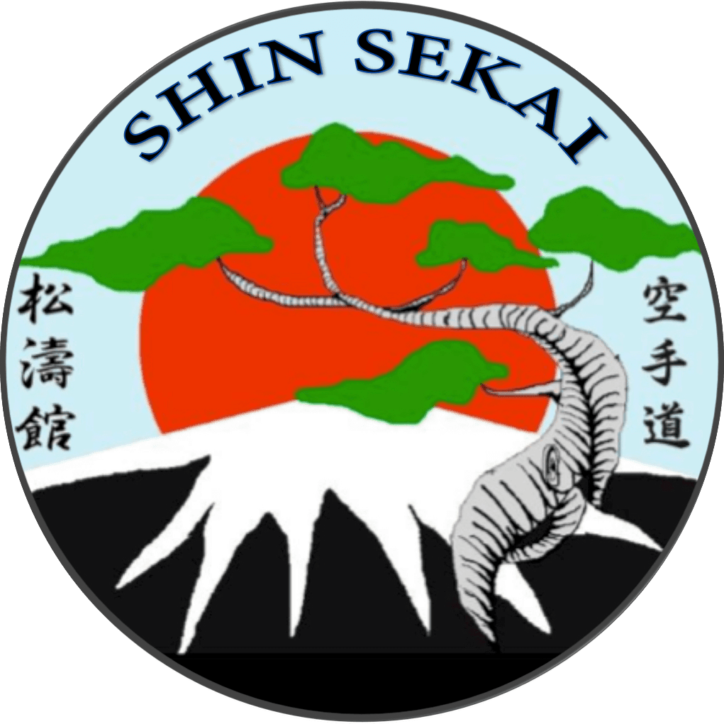 Shin Sekaï Karate - karate in Toulouse