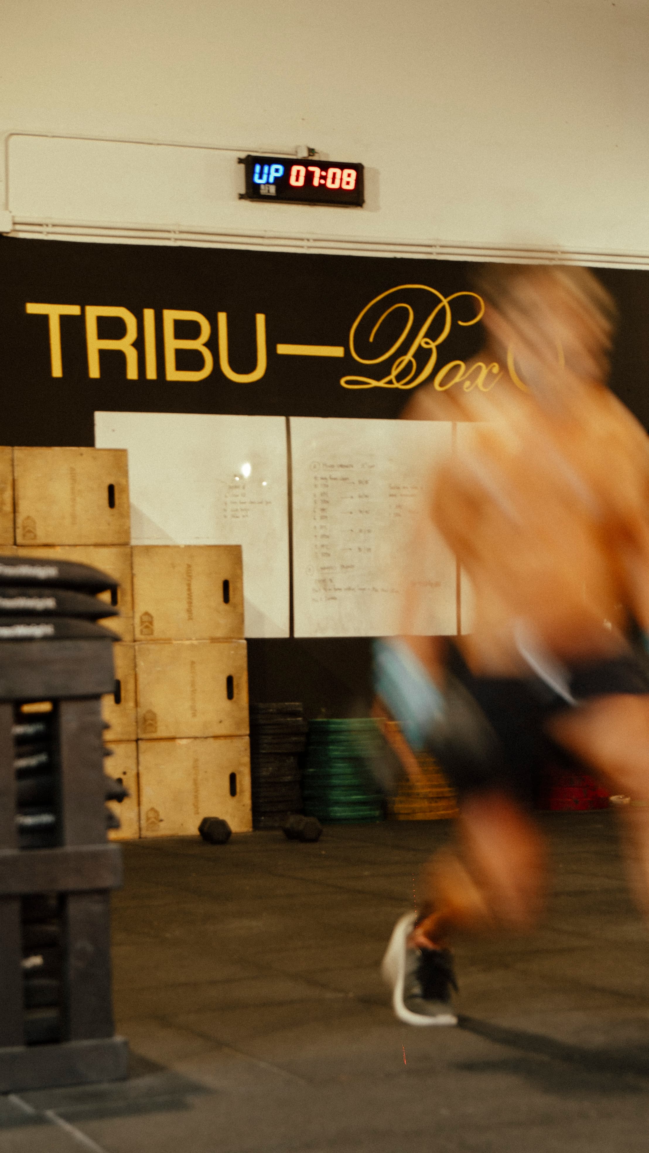 Tribu Box - crossfit in Marbella