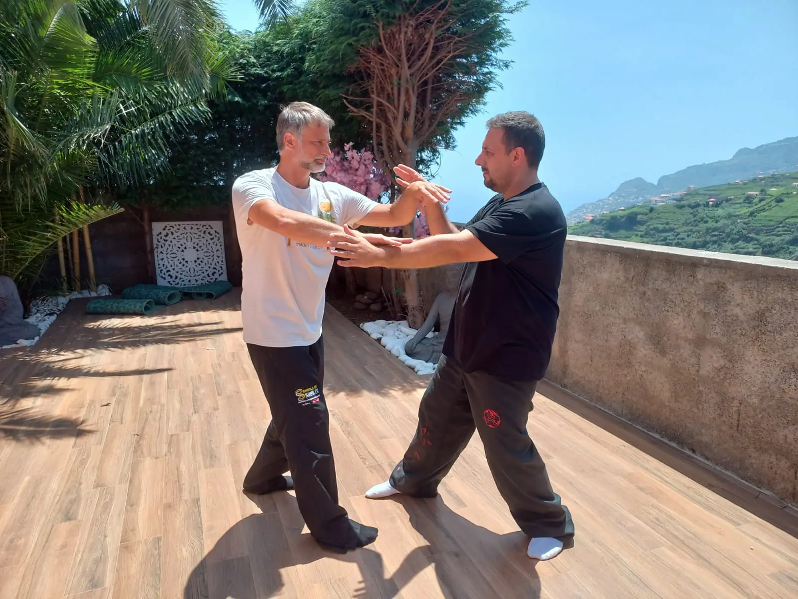 Wing Chun Kung Fu Mallorca Tradicional - karate in Palma