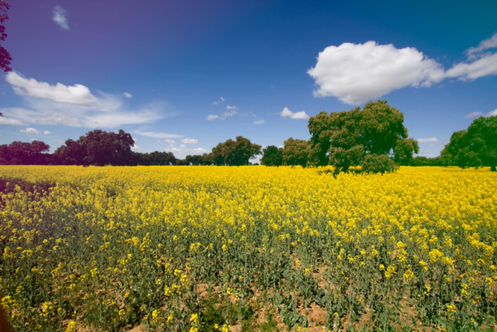 Piscina Municipal Ahigal - natacion in Ahigal