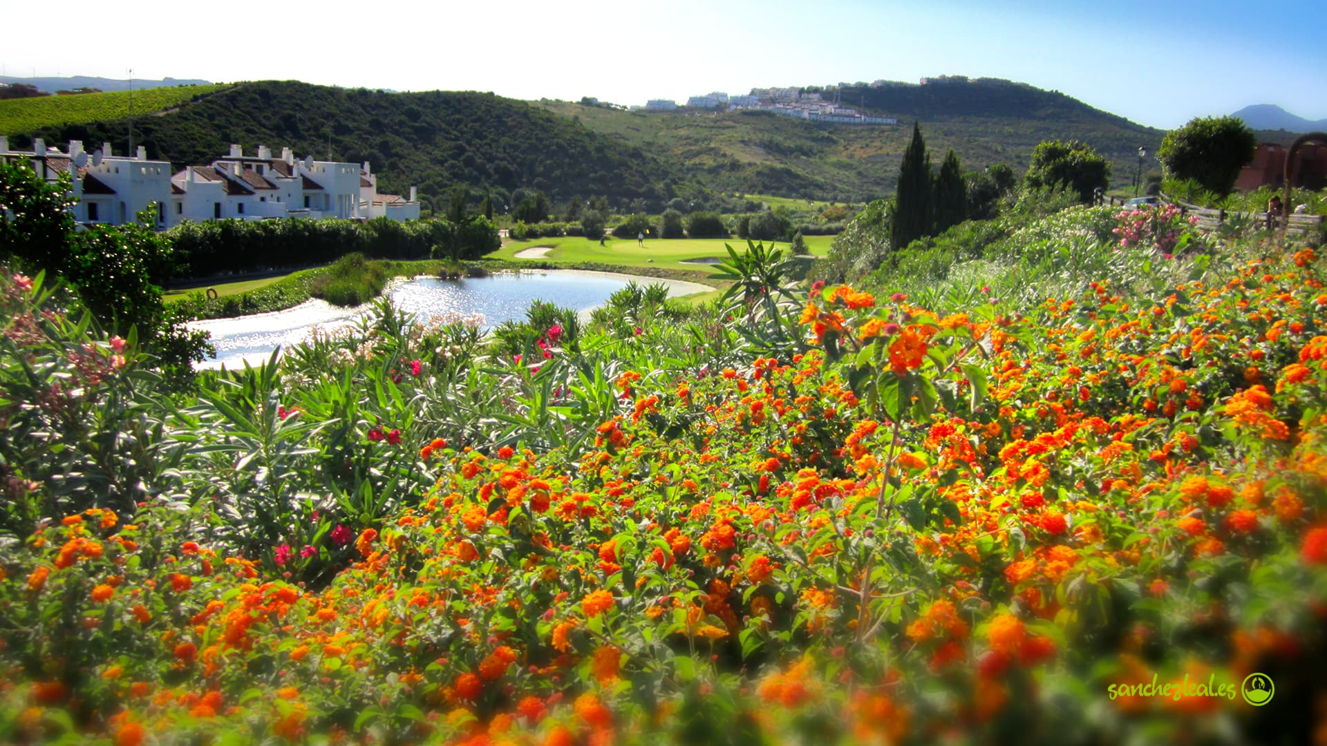 Casares Costa Golf - golf in Casares