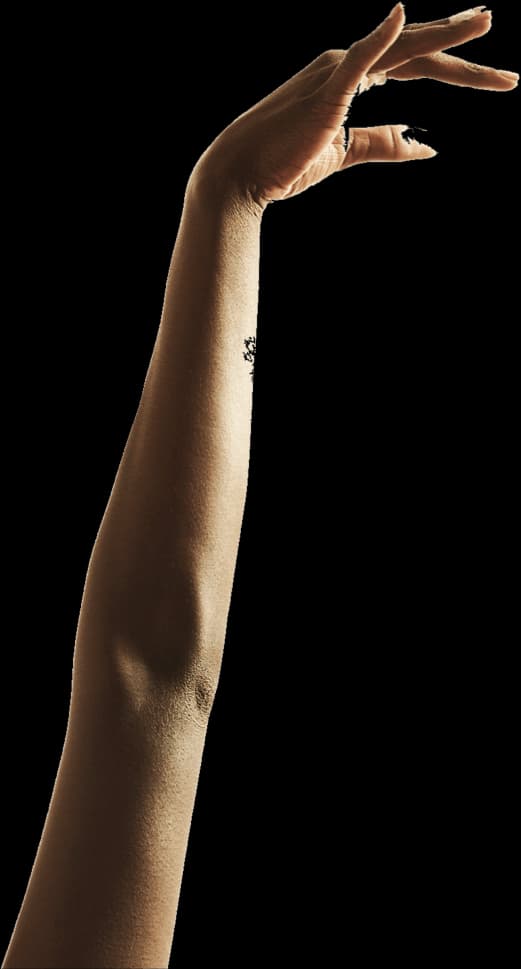 Judo Academy - judo in Cosenza