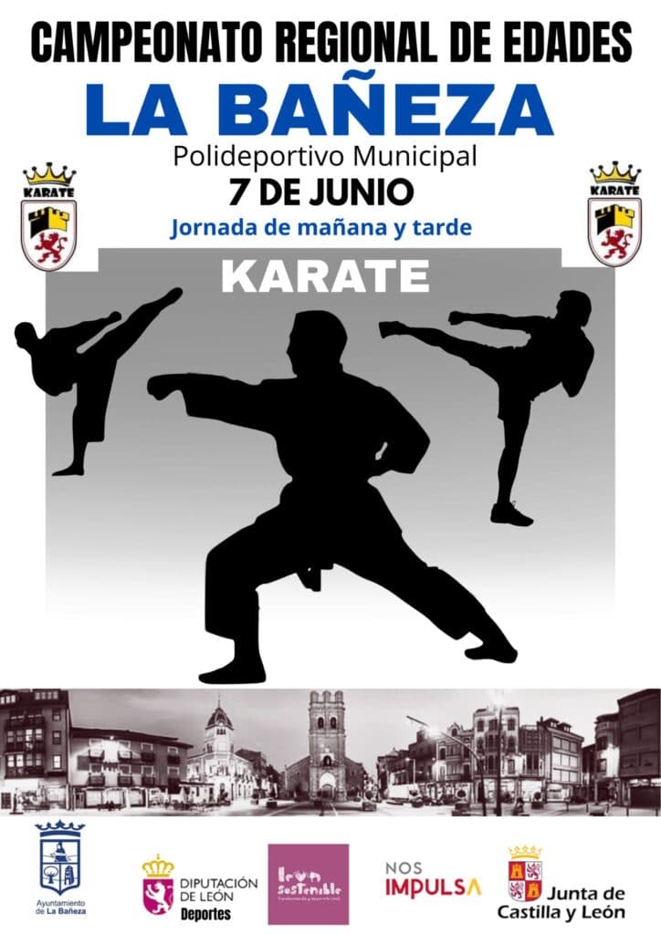 Karate Federation and D.A. Castilla y León - karate in Valladolid