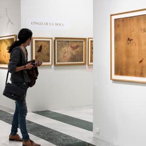 Pavelló Municipal Bancaixa - baloncesto in Vila-real