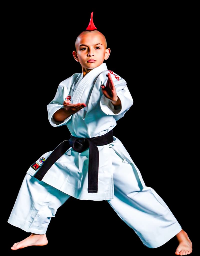 Millennium Martial Arts Academy - karate in Hialeah