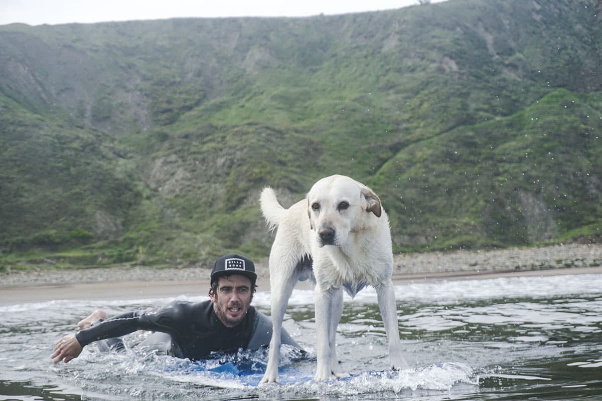 La Salbaje Surf Eskola - surf in Ugeraga