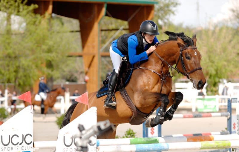 UCJC Sports Club - baloncesto in Villafranca del Castillo