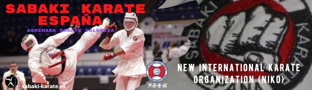 Club Deportivo Ashihara Karate - judo in València