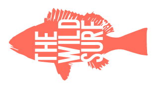 The Wild Surf Fuerteventura - surf in Corralejo