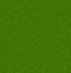 Club Deportivo Santa Marta - fútbol in Ponferrada