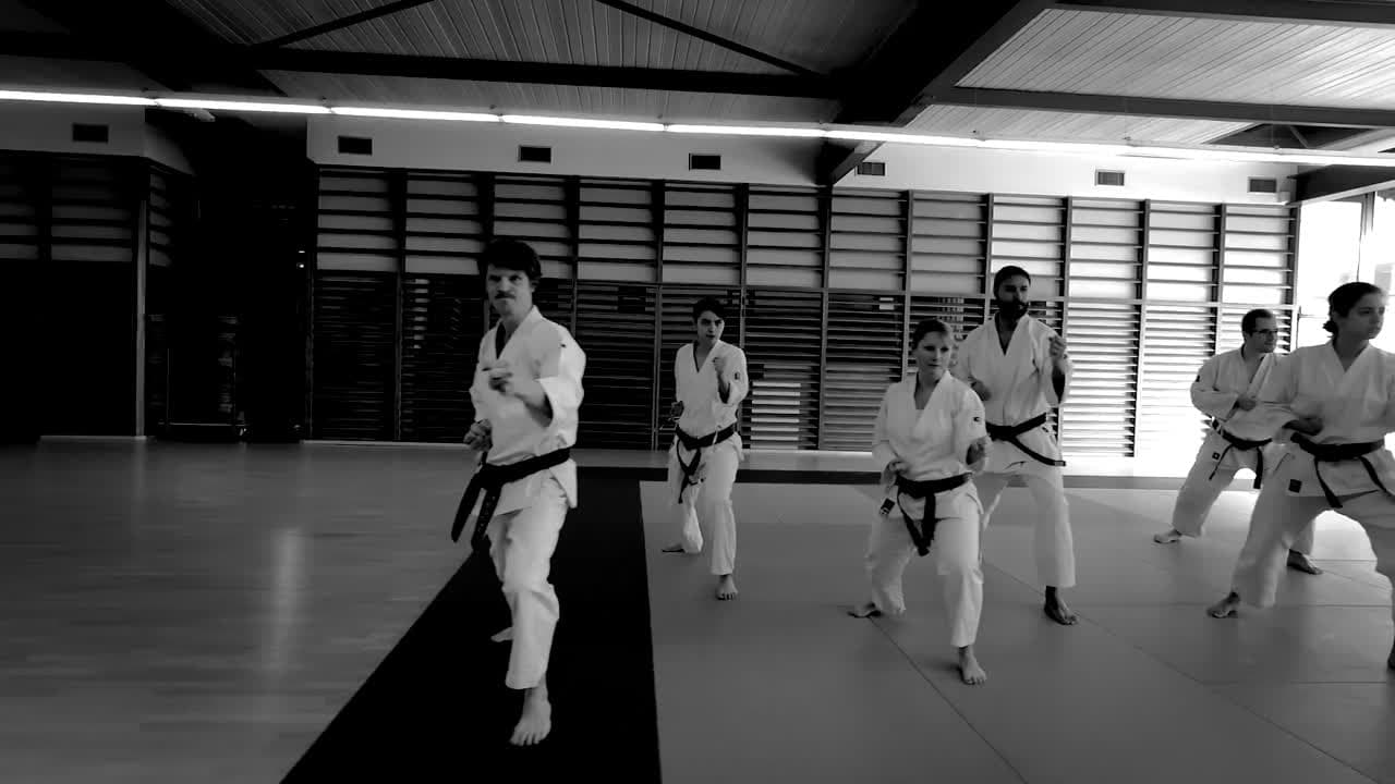 France Shotokan Karate Bordeaux - karate in Bordeaux