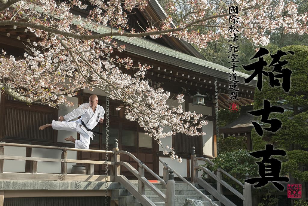 Karate-Do Keiko Shin Dojo - karate in Las Lagunas de Mijas