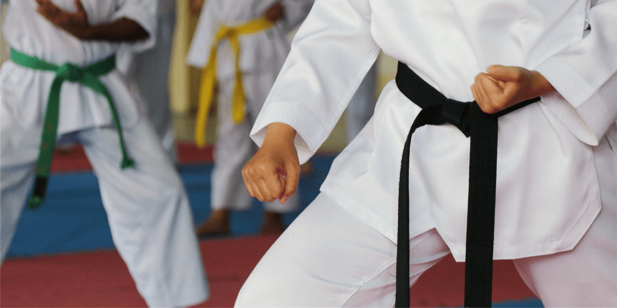 La tua scuola di karate merita il meglio