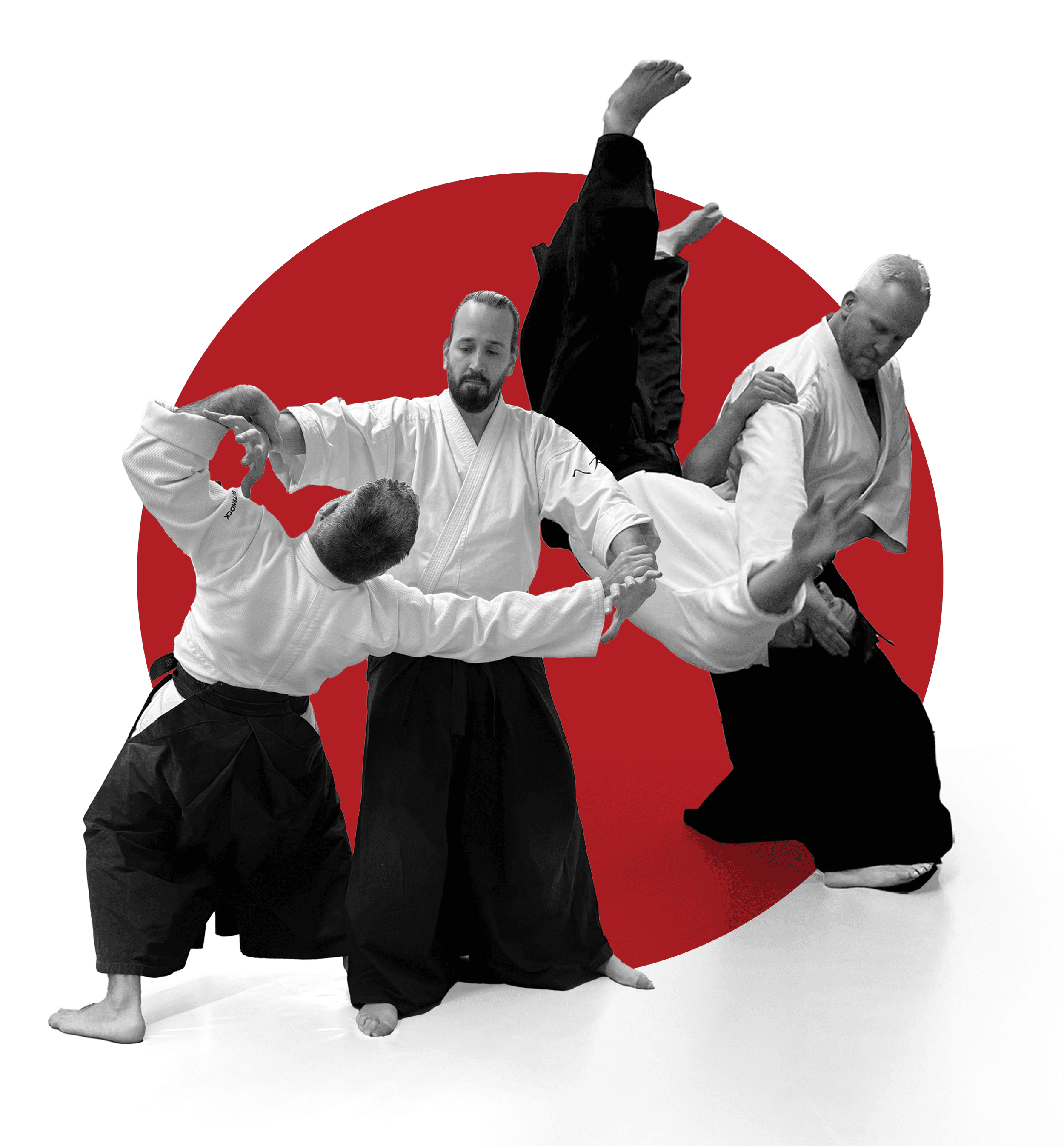 MIZU AIKIDO SCHOOL - judo in Madrid