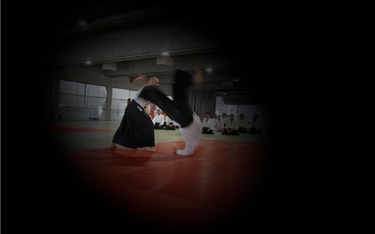 Aikido Nōgara-Juku - judo in Getafe