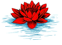 Escuela De Artes Marciales NAM KUN Rivas - karate in Rivas-Vaciamadrid