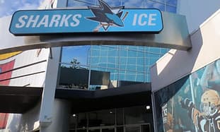 ICEZONE - skateboard in Pulianas