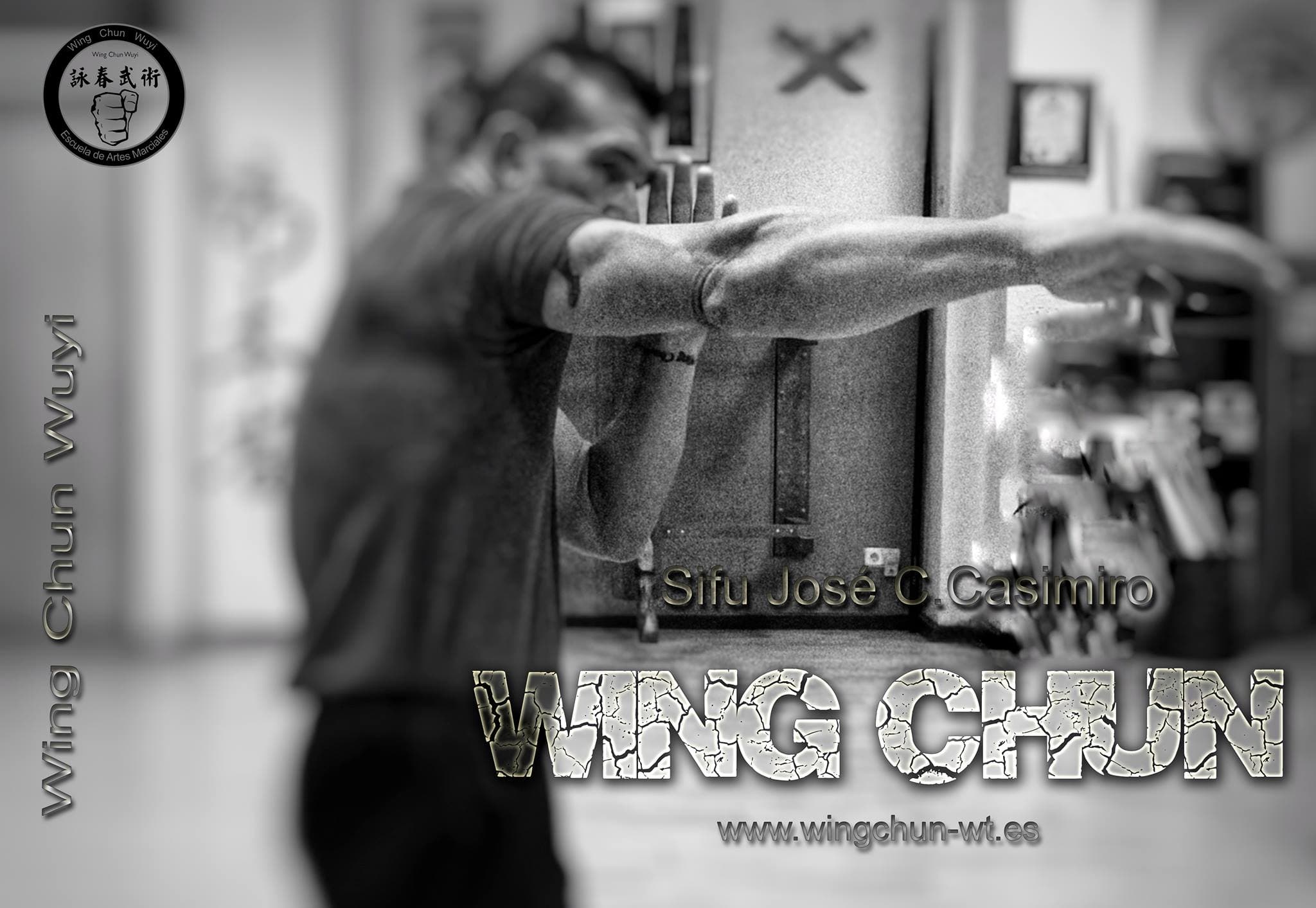 Wing Chun Wuyi - Alicante - judo in Alacant