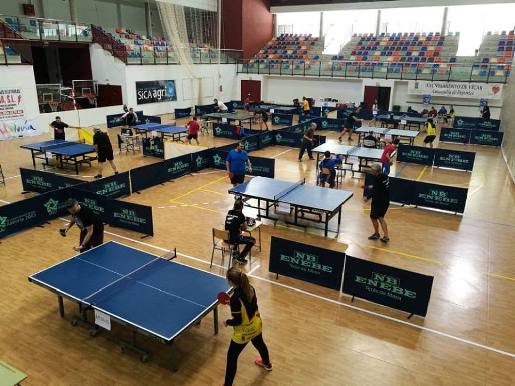 Club tenis de mesa Vícar - tenis in Las Cabañuelas